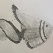sketching fish_result