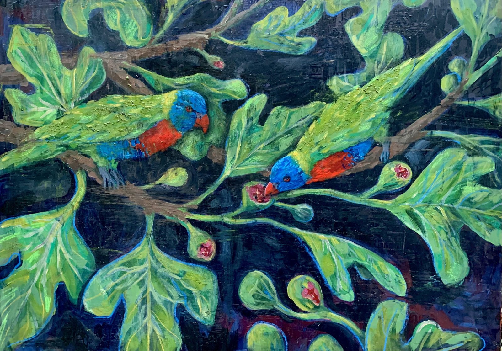 Rainbow Lorikeets & A Fig Tree on Canvas